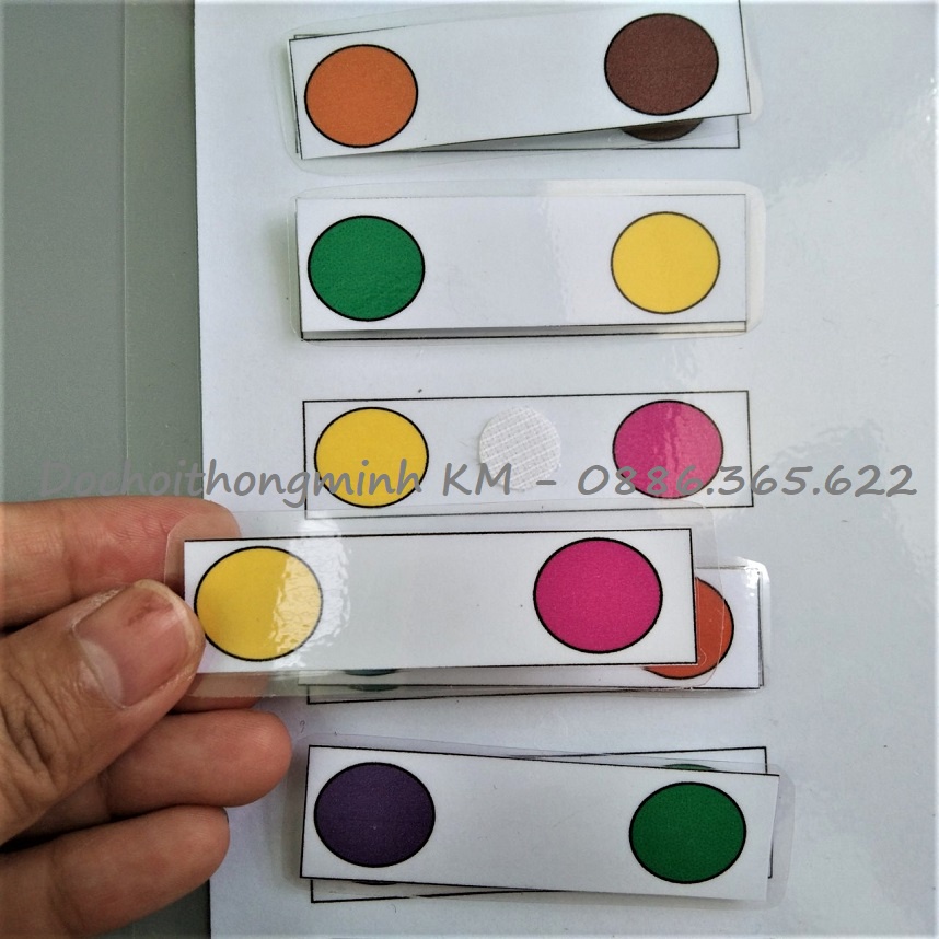 HỌC LIỆU - Phân loại màu sắc - Sắp xếp thẻ màu