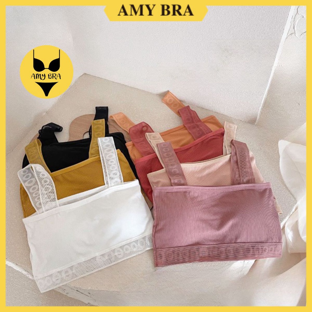 Áo Bra 2 Dây Viền Lưới - Bra Nữ Chất Cotton, Kèm Mút Mỏng - Áo Ngực Không Gọng AMYBRA B901
