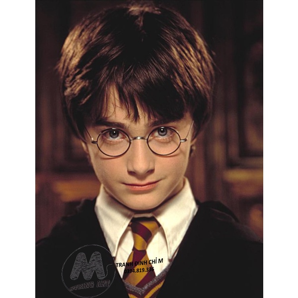 Bộ dụng làm tranh đinh chỉ Các nhân vật trong Film Harrypotter