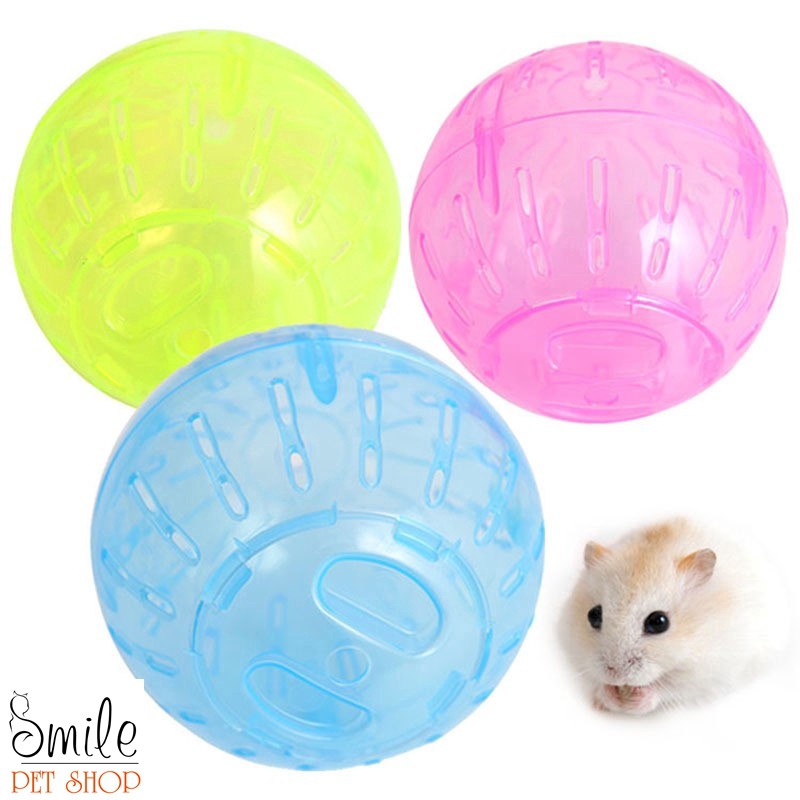 [GIÁ SỈ] Phụ kiện Hamster - Bóng chạy bộ đồ chơi cho hamster - Smile Pet Shop