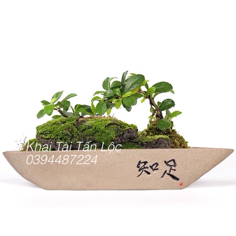 Chậu cây , hồ cá và ông lão câu cá tí hon để bàn trang trí