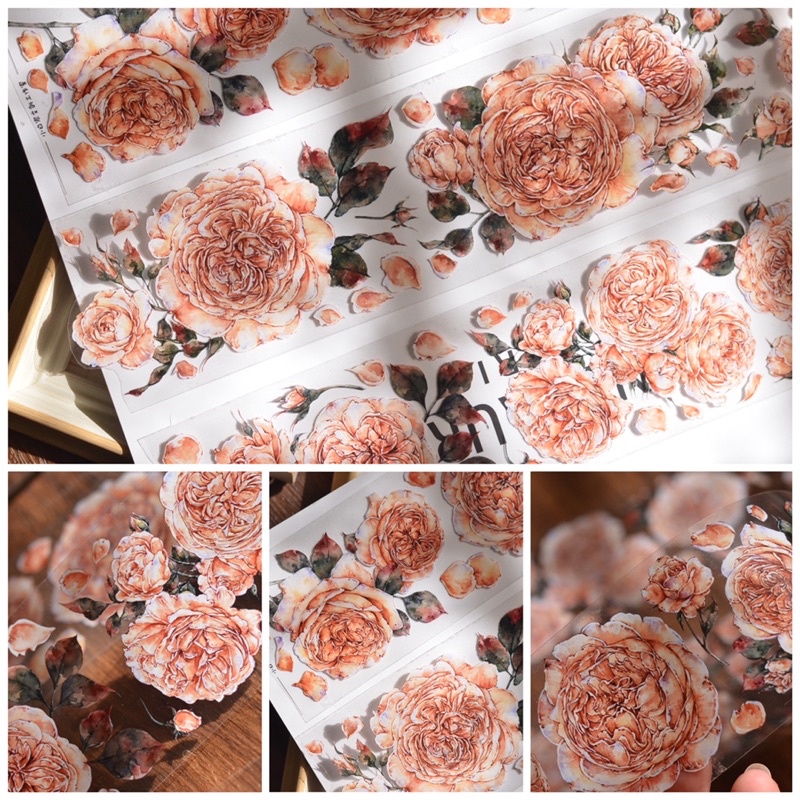 8 mẫu băng dính PET tape hoạ tiết hoa và nhân vật