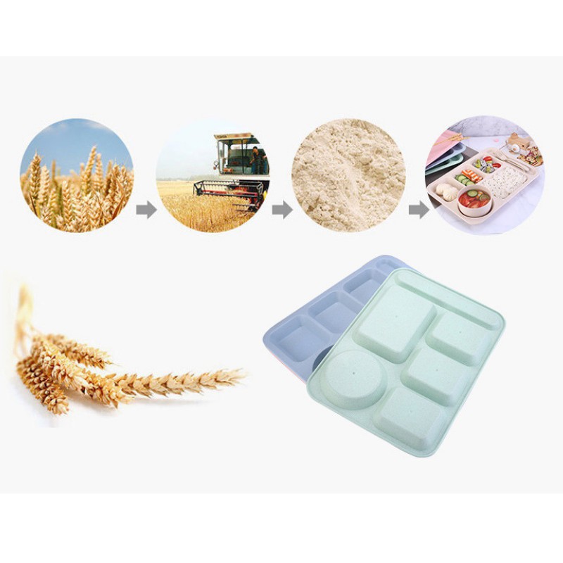 Khay cơm lúa mạch 5 ngăn cao cấp có kèm chén đựng canh