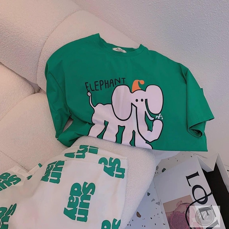 Set áo cotton xanh voi con quần suông gân R9