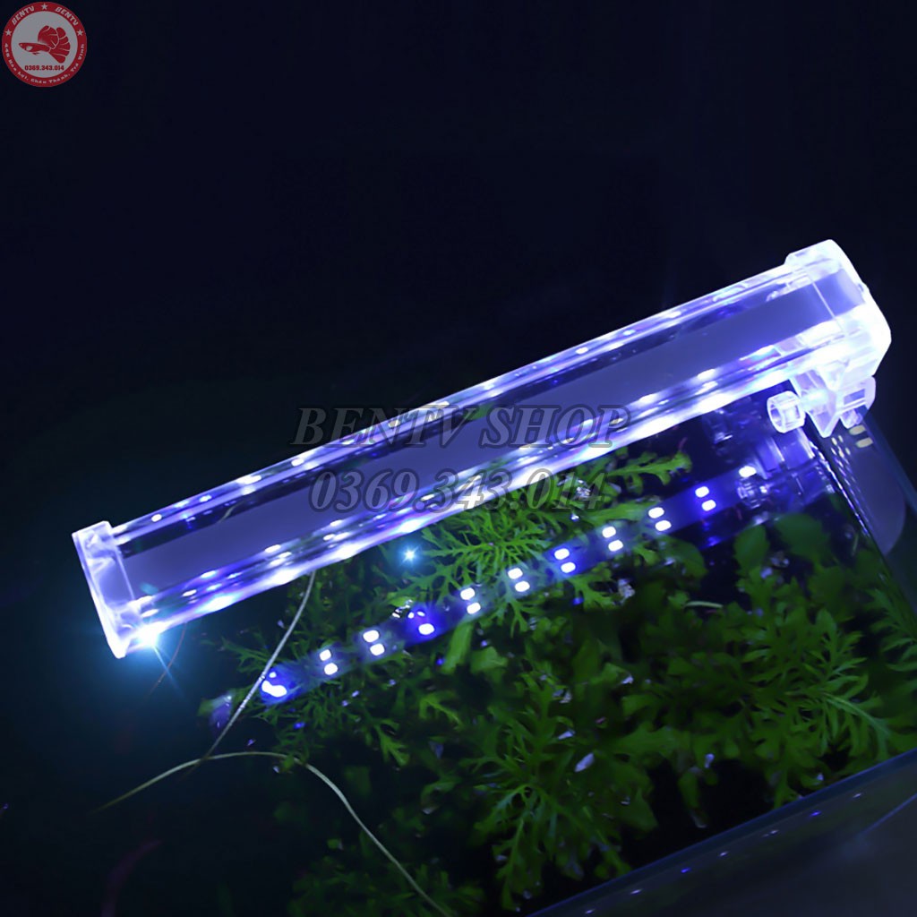 Đèn LED Kẹp Cho Hồ Thủy Sinh Kích Thước 50-60cm LED-D40