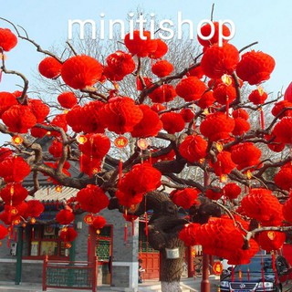 Đèn Lồng Giấy Nilon Trang Trí, Xếp Chữ Phúc Treo Trang Trí Tết, Đám Cưới, Song Hỷ