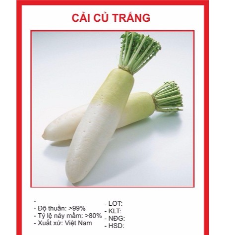 Hạt Giống Củ Cải Trắng (Ngọt) 20gr