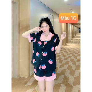 Set Bộ Lụa Mango Đùi cổ bèo sen Đồ Bộ Đồ Mặc Nhà Pijama