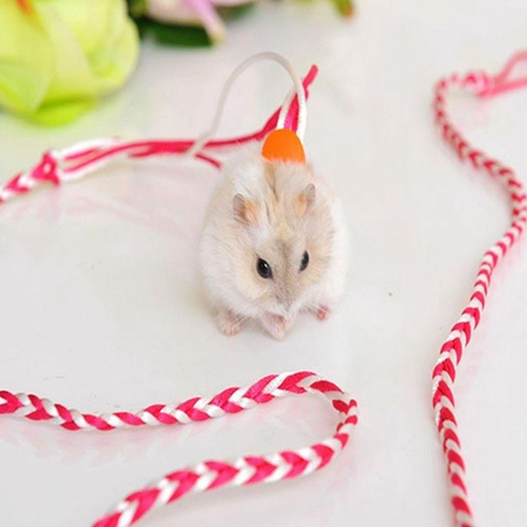 YIYU Dây Dắt Chuột Hamster Đi Dạo Chất Liệu Nylon Đính Chuông TYLER1 1.4 / 2.0M