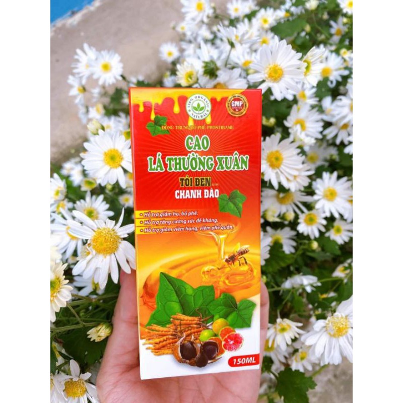 CAO LÁ THƯỜNG XUÂN TỎI ĐEN CHANH ĐÀO Giảm ho & long đàm hiệu quả, tăng đề kháng