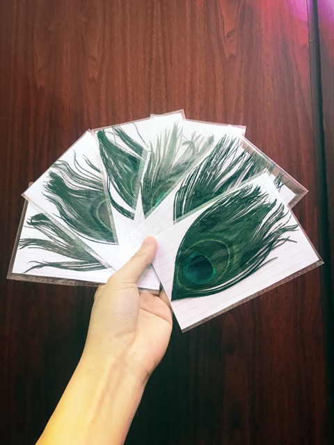 Lông Công Tự Nhiên Để Ốp Điện Thoại | BigBuy360 - bigbuy360.vn