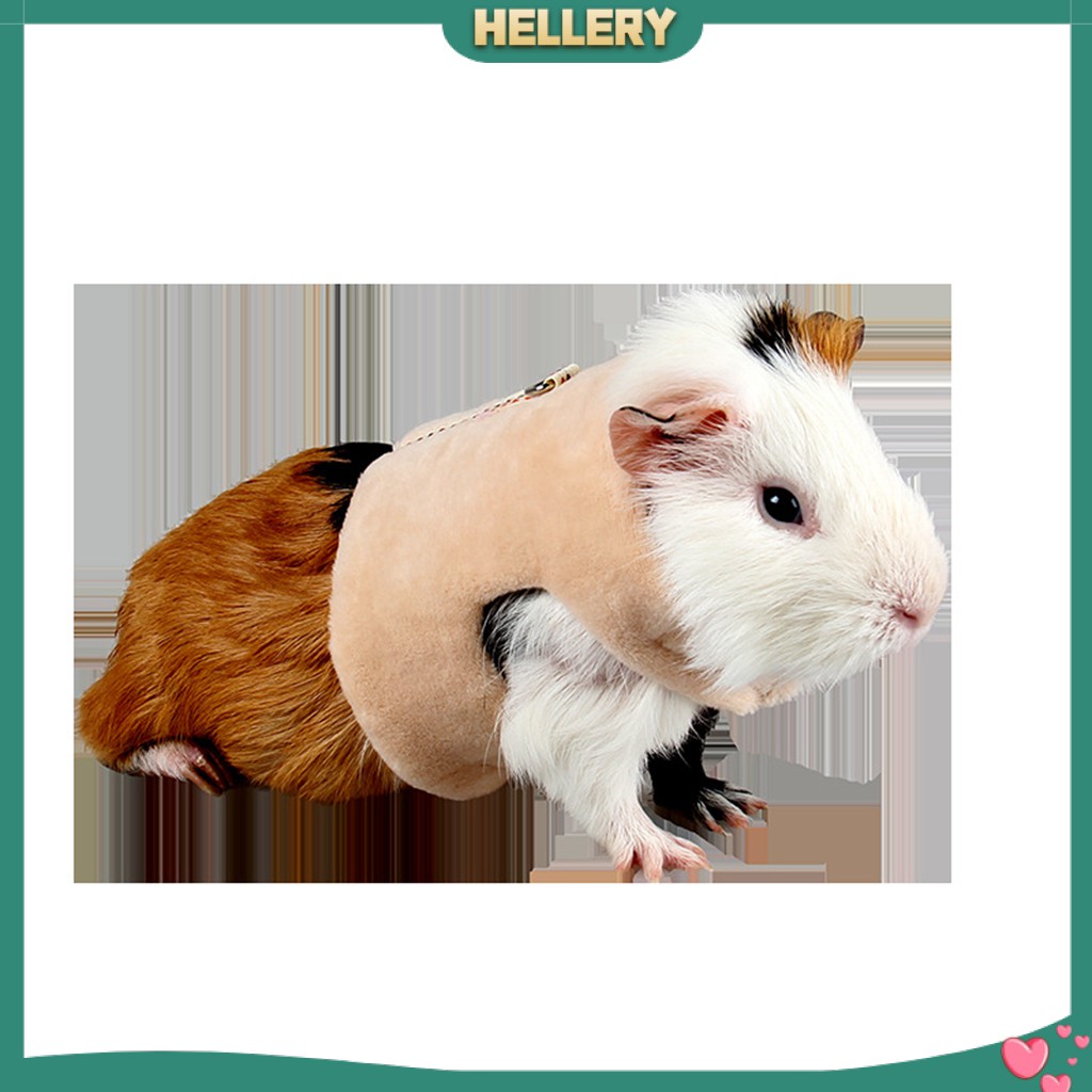 Bộ Dây Đai Và Dây Dắt Bằng Vải Cotton Cho Chuột Hamster / Heo Guinea