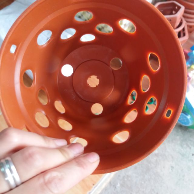 chậu trồng lan rộng14cm