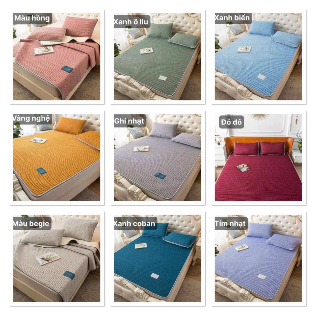 Chiếu Điều Hòa Cao Su Non Latex HIN BEDDING Kích Thước 1m6x2m, 1m8x2m, 2mx2m2 Tặng Kèm 2 Vỏ Gối