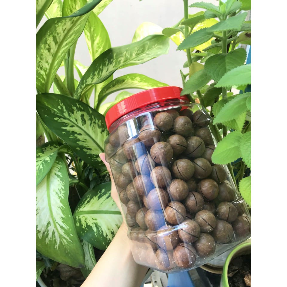Hạt macca úc chính hãng - giá sỉ - 250g / 500g