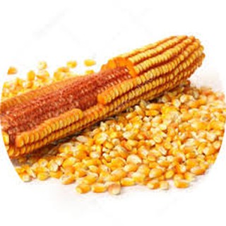 2KG BẮP NỔ - MỸ (DÙNG LÀM MÓN BẮP RANG BƠ)
