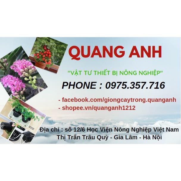 SET 2 CHẬU ỐP TƯỜNG BÁN NGUYỆT TRỒNG HOA, CÂY CẢNH