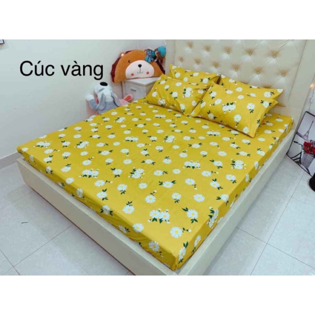 [Rẻ vô địch] Bộ ga vỏ gối cotton poly (1 grap giường + 2 vỏ gối nằm) | BigBuy360 - bigbuy360.vn