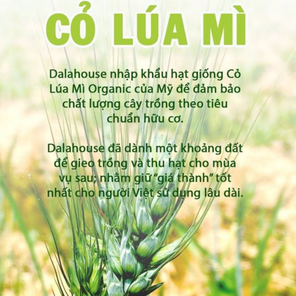 Bột rau củ nguyên chất sấy lạnh Dalahouse gói 3gram