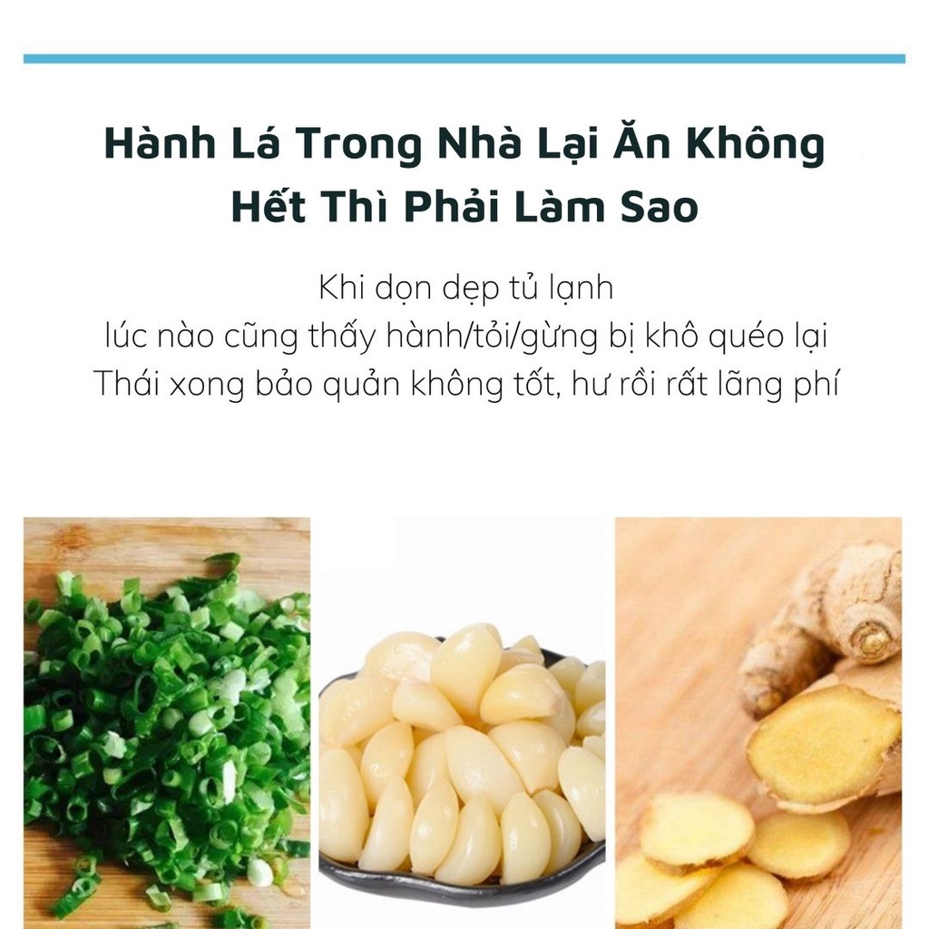 Hộp Bảo Quản Hành Tỏi Trong Tủ Lạnh Hình Vuông  Bằng Nhựa Đa Năng Tách Nước Có Ngăn Chia Tiện Lợi 0503