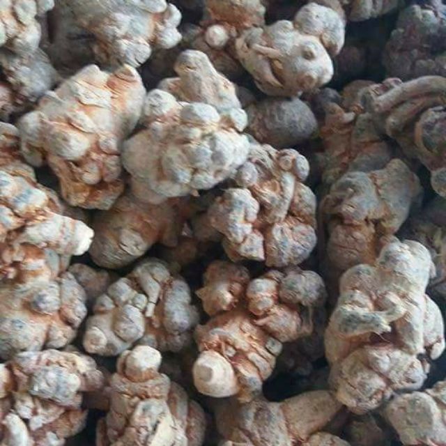 Củ tam thất bắc khô
