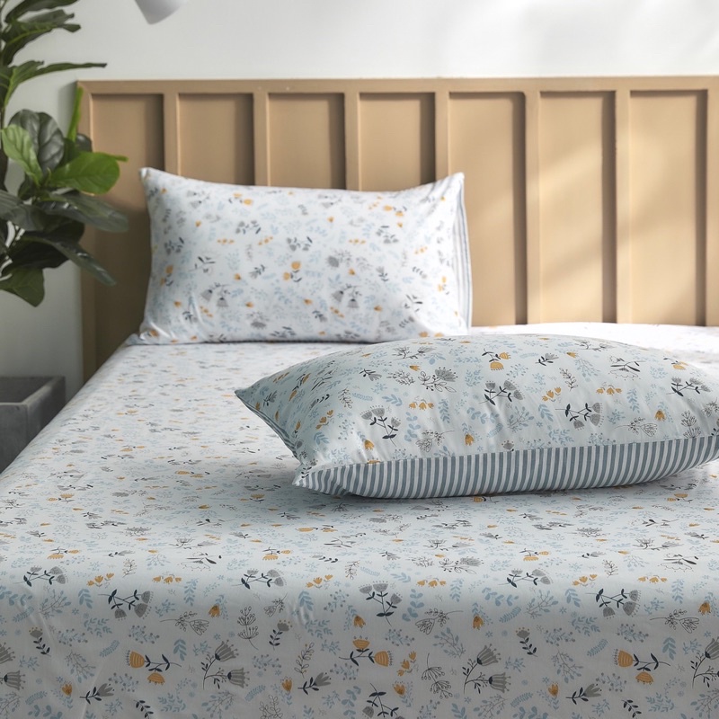 Set Ga + Gối Cotton Living Thoáng Mát Shinbedding