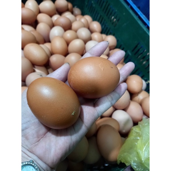 [Q7]Trứng gà công nghiệp/gà ta - loại 1 - trứng mới hằng ngày tại vườn bến tre | BigBuy360 - bigbuy360.vn