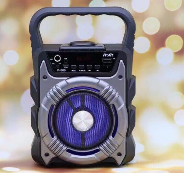 Loa karaoke P668/p669+ mic có dây+ bảo hành 1 đổi 1 6 tháng