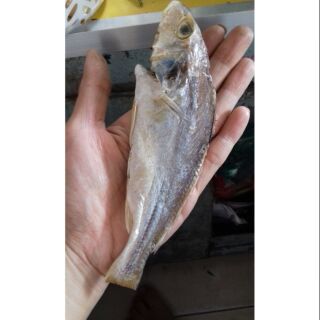 KHÔ CÁ ĐÙ Bịch 500g