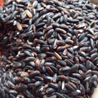 1kg Gạo nếp cẩm CHUẨN Điện Biên