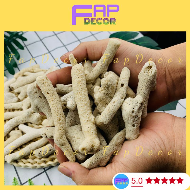 San Hô Lọc Nước Hồ Cá, San Hô Tăng Độ PH Trong Nước Cho Bể Cá - FapFood