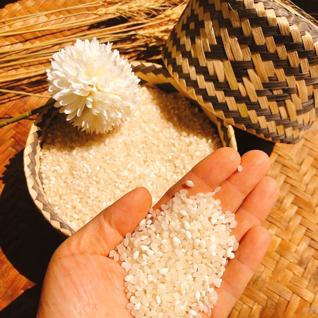 Gạo nếp Tú lệ-2kg