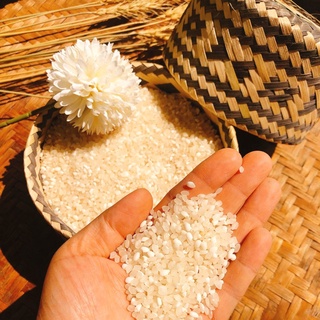 Gạo nếp Tú lệ-2kg