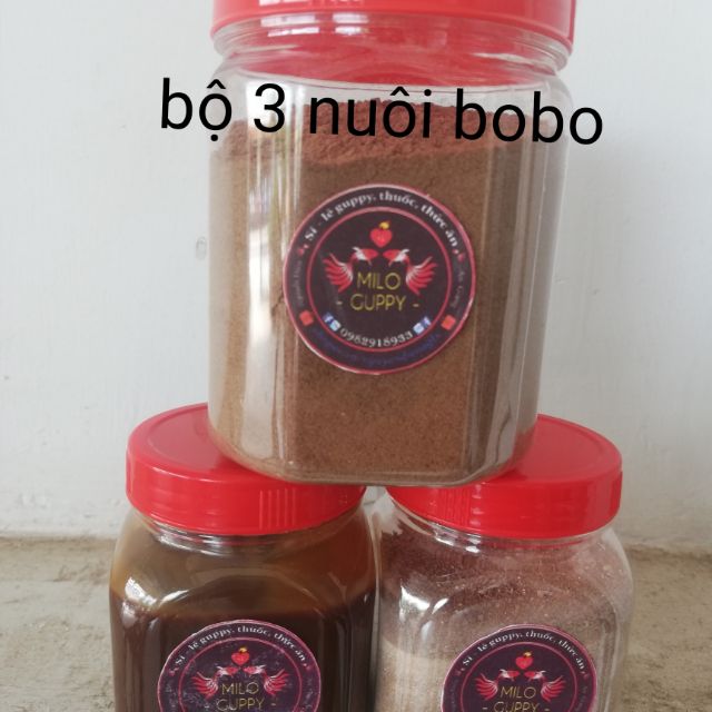 Bộ 3 nuôi bobo (trứng nước) tại nhà thành công 100%