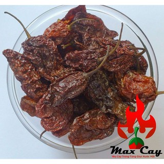 Ớt khô Habanero Chocolate giống  ớt thơm nhất thế giới
