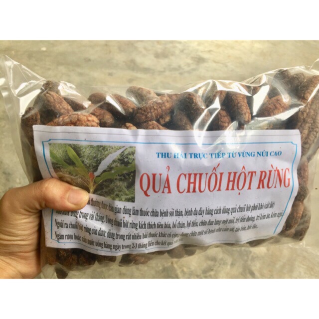 Chuối hột rừng nguyên quả 1kg