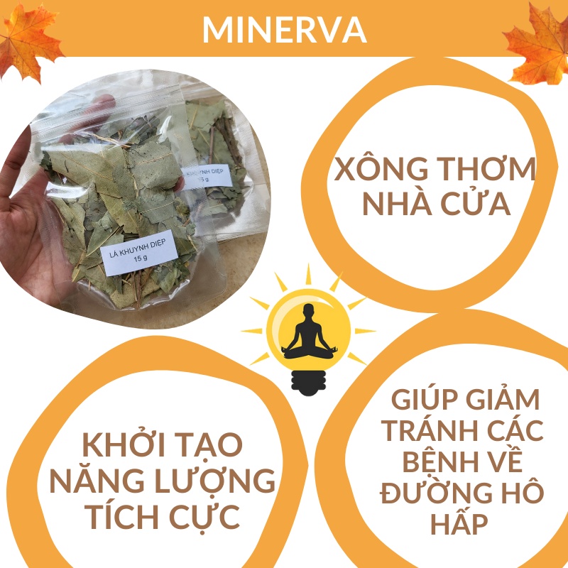 Lá Khuynh Diệp (BẠCH ĐÀN CHANH) khô dùng để xông giải cảm, khử mùi làm sạch không khí (Gói 15 gram)