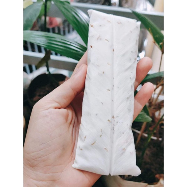 5 cái Tempeh đậu gà, temphe đậu đỏ, tempe đậu nành, tempe đậu đen