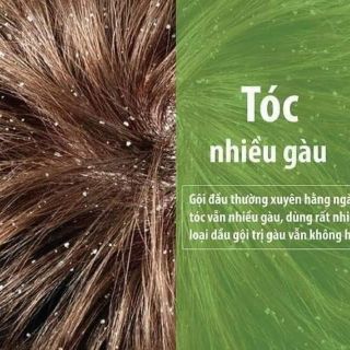 Dầu gội thảo dược