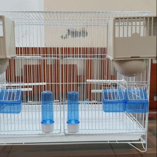 Lồng sinh sản cho yến hót