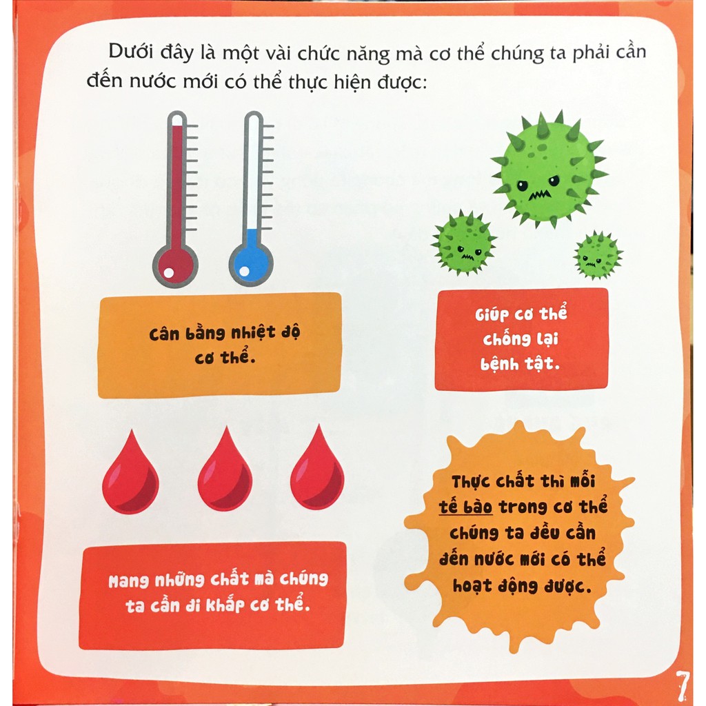 Sách - Combo Có Thể Bạn Chưa Biết (Bộ 12 Cuốn) - Dành Cho Trẻ Em Từ 4 Tuổi Trở Lên