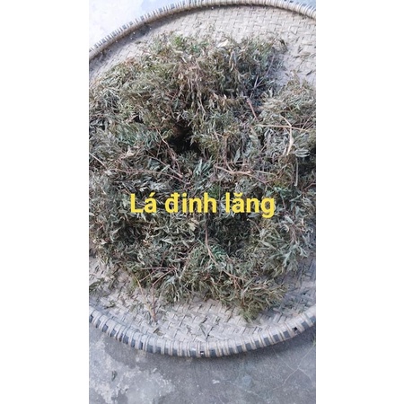 Đinh lăng 1 kg xao khô hàng sạch nhà trồng lá cây nguyên chất