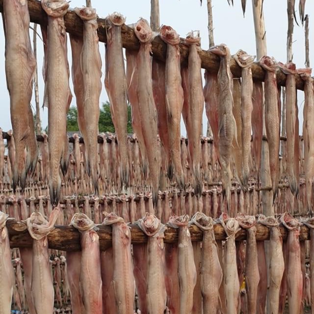 Khô Cá Khoai Loại I