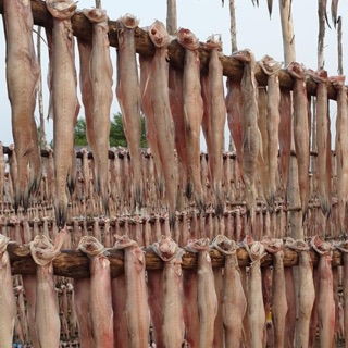 Khô Cá Khoai Loại I