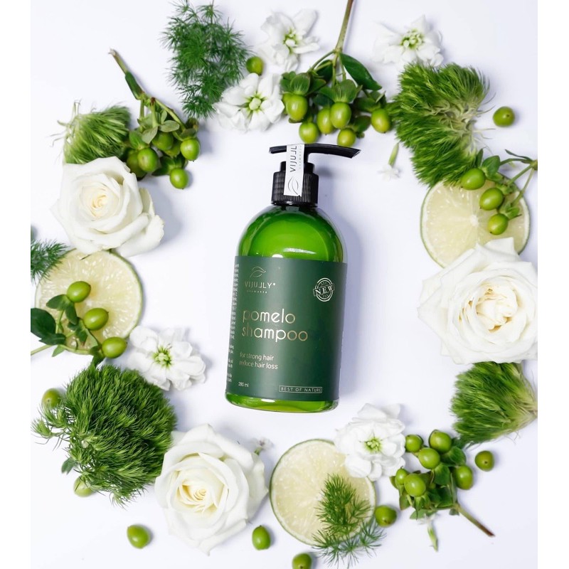 [100% CHÍNH HÃNG ] Dầu Gội Bưởi ViJully , giảm rụng tóc, kích mọc tóc , làm sạch khoẻ da đầu | BigBuy360 - bigbuy360.vn