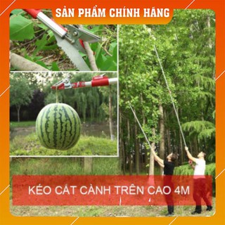 [HÀNG NHẬT 4M] Kéo cắt cành trên cao kết hợp hái trái 4m siêu bền