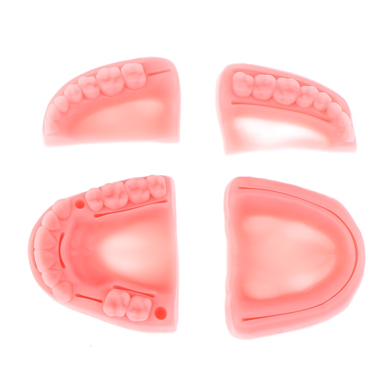 Bộ 4 Mô Hình Răng Giả Độc Đáo