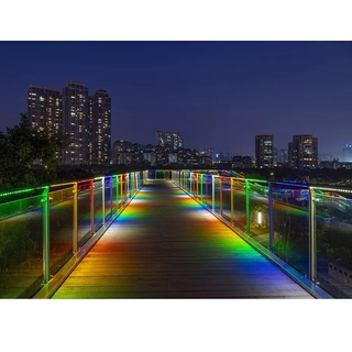 Đèn Led dây đôi 5730 siêu sáng 2 hàng ( Đơn giá / 1 mét )