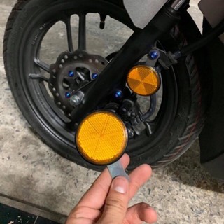 mắt mèo phải quang tròn