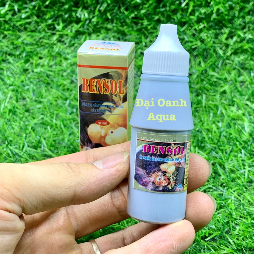 BENSOL Trị Nấm Ký Sinh Trùng Cho Cá Cảnh 30ML